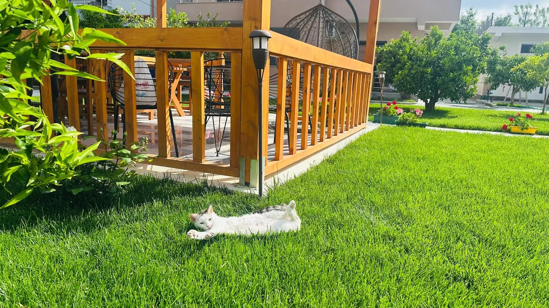 Sarvi Apartments Дуррес