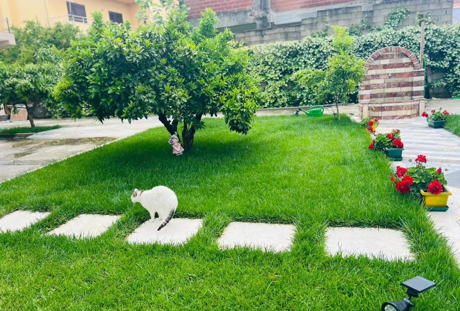 Sarvi Apartments Дуррес
